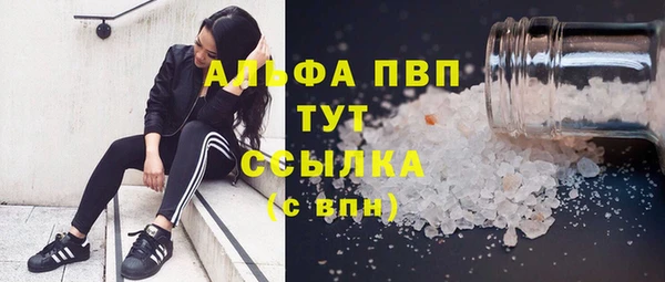 ГАЛЛЮЦИНОГЕННЫЕ ГРИБЫ Арсеньев
