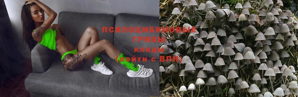 ГАЛЛЮЦИНОГЕННЫЕ ГРИБЫ Арсеньев